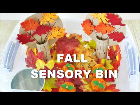 DIY Sensory Bin