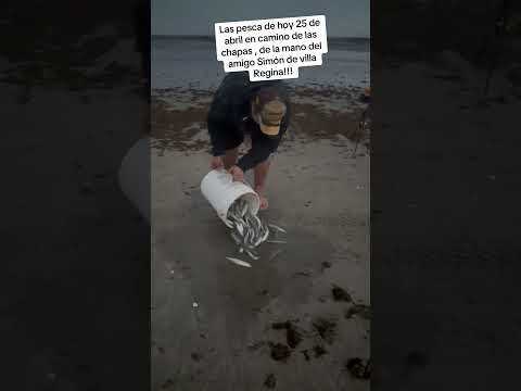 Un seguidor que vino de Regina a pescar y lo mandé a la pesca segura en san Antonio oeste Río Negro!