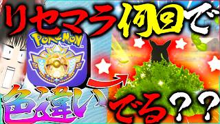 【必見？】ポケモンチャンピオンズで何回リセマラしたら色違いでるのーーーー【ポケモンチャンピオンズ・ゆっくり実況】