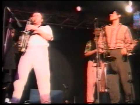 Der Sinn des Lebens  Parodie auf Herbert Grönemeyer