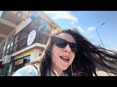 Stațiunea Neptun 2025 drumul către plajă, lacuri, stejari brumarii, plajă lărgită, dig, nostalgie