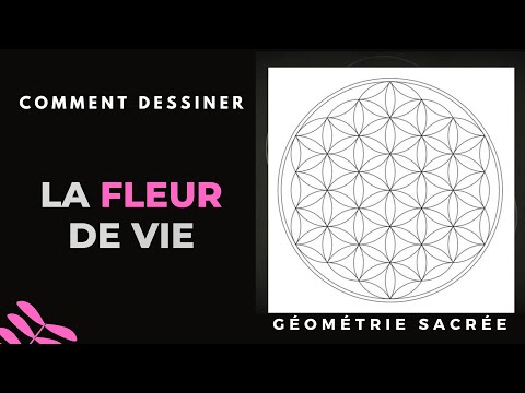 La FLEUR de la vie 🌸 Géométrie sacrée ✨ Comment dessiner