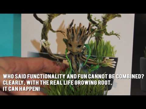 **The Real Life Growing Groot Review** :))