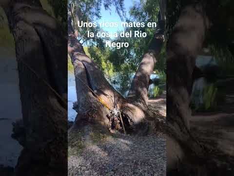 Paraíso en la costa del Rio Negro. Pomona. El Jardín de la Provincia de Río Negro #camperworld