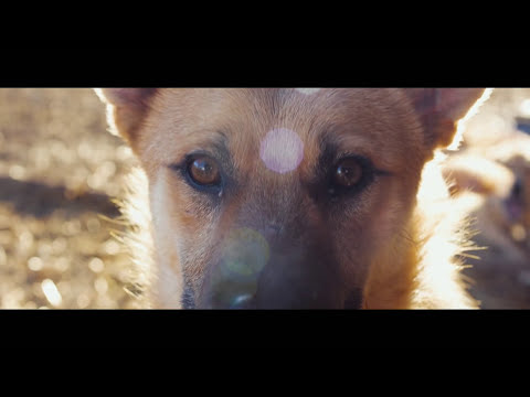 Videoclip de Fermati e respira — Punkreas