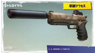 Fortnite  ドン勝つ目指して。