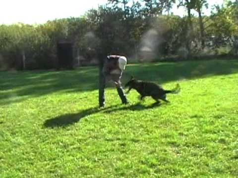 Iron z Vodnanské doliny