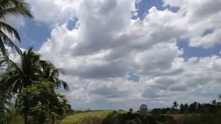 Traces of Love by The Classics IV (1967)