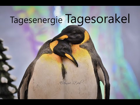 Tagesorakel Dienstag 04.02.2020 - Die Welt und du ist eins!