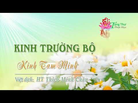 13. Kinh Tam minh (Tevijja sutta)