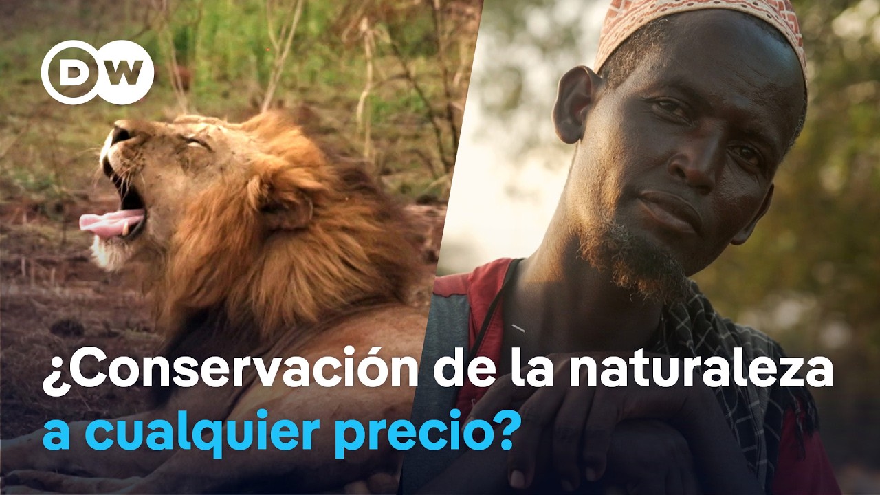 “Colonialismo verde”: indígenas desplazados por la conservación de la naturaleza | DW Documental