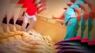 &quot;Joshua Giraffe&quot; Fan Video