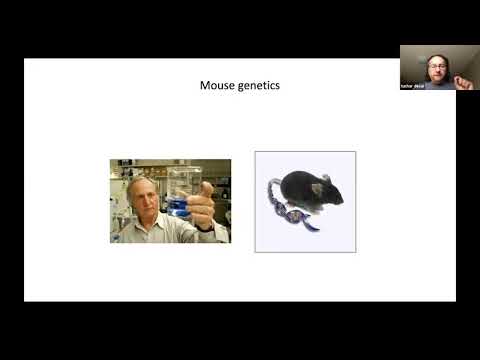 All Hands on Deck! Repair of Acute Lung Injury | Stanford DoM Grand Rounds | 14 July 2021