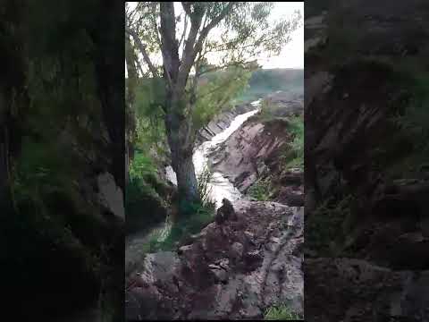 vendo lotes abrego norte Santander desde una 1 hectárea inf 318 366 2433