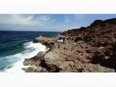 Our Island, Our Aruba