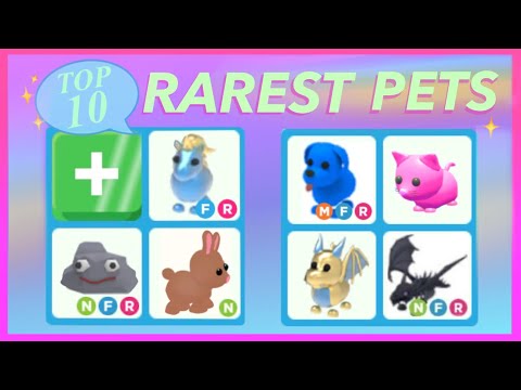 Top 10 Rarest pets in Adopt Me!