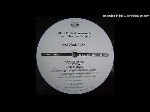 Blaze Production Presents James Toney Jr. Project - The Grooves