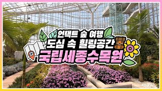 [#언택트여행 떠나기] 도심 속 초록 힐링을 할 수 있는 곳, 국립세종수목원