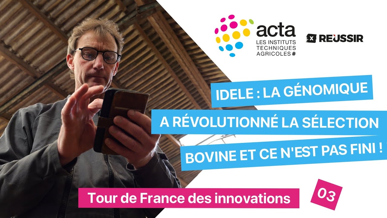 La génomique est entrée dans le quotidien des éleveurs grâce à l’IDELE