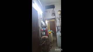 3 BHK Flat for Sale in Block B4, Safdarjung Enclave, Delhi