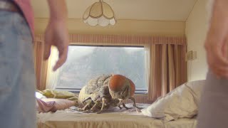 Trailer Preview Image