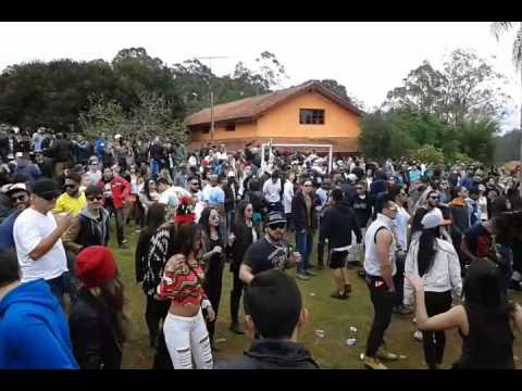 Rosa Ventura PSYMIND 9 anos Suzano