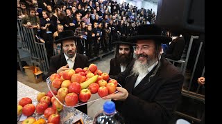 טו בשבט בחיידר טוב ירושלים בראשות הרב גמליאל רבינוביץ