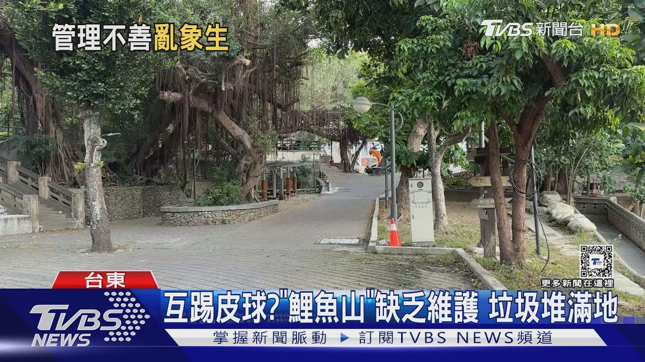 互踢皮球?「鯉魚山」缺乏維護 垃圾堆滿地