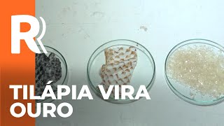 Miniatura do vídeo