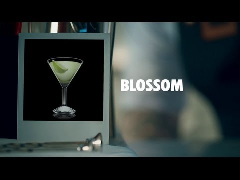 BLOSSOM DRINK RECIPE - HOW TO MIX