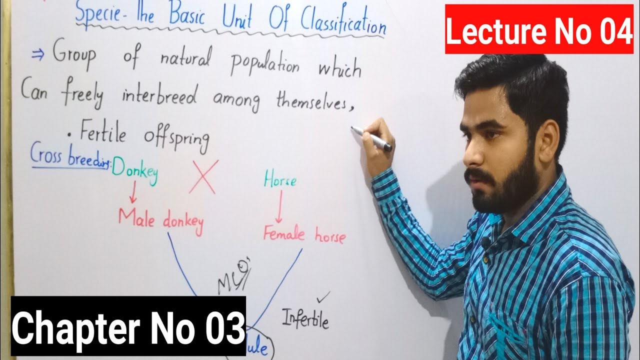 Specie The Basic Unit Of Classification