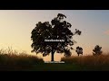 Nyaya Horizontal Video Justin Woodlake