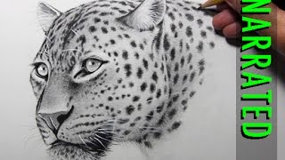 How to Draw a Leopard Narrated Step by Step