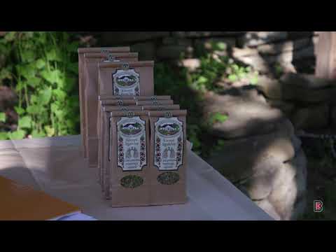 Saxon Villages of Transylvania - Avramesti Herb Garden