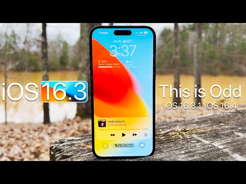 iOS 16.3 - Well This is Odd...