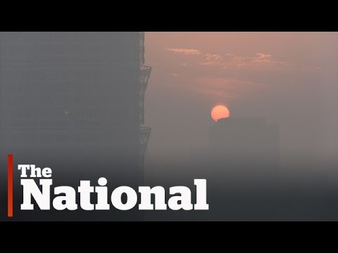 Surviving China's smog