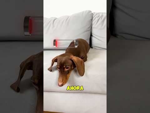 Cuando Sonu recargó la batería de Malik #shortvideo