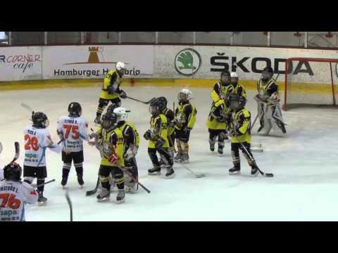 Miskolci Jegesmedvék U10 A és B torna Dunaújváros 2013 január 19.