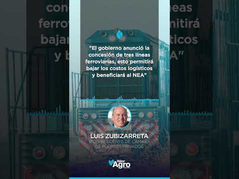 🚆 Nueva apuesta ferroviaria: buscan bajar los costos logísticos del NEA