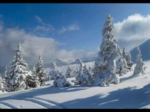 Peter Dubs-Cubu(Kamil Polner remix)