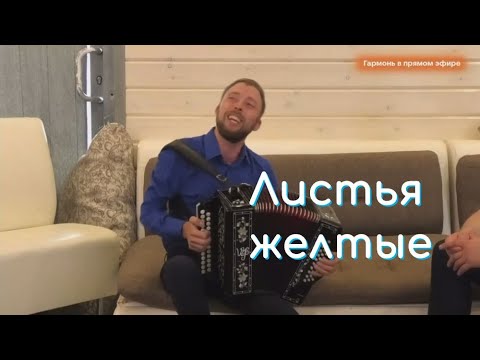 Листья желтые на гармошке