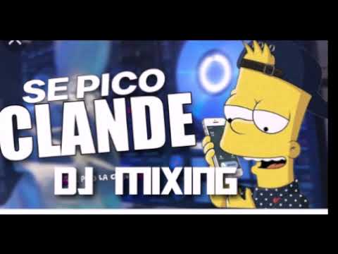 SE PICO LA CLANDE DJ MIXING