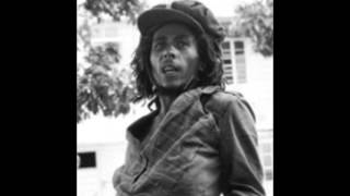 Bob Marley and the Wailers -   Buffalo Soldier Dub