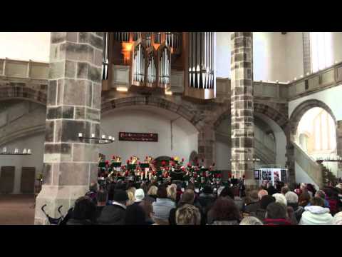 Landesmusikkorps Sachsen - Weihnachtsmedley - Lichtelfest 2015