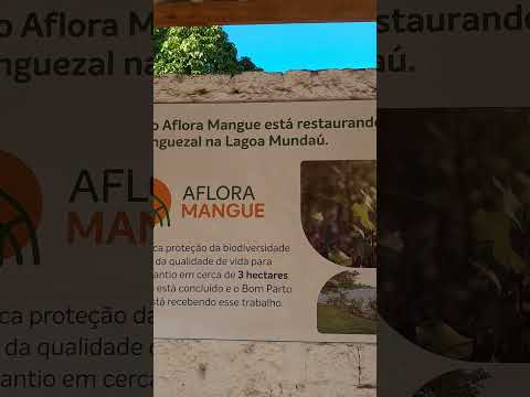 Thiago Henrique lagoa mundaú Maceió Alagoas coqueiro seco sábado 2026 março