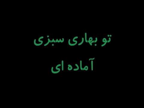 Paydar(Taham ft Paya)-Balatarin (DominantLyrics-farsi)