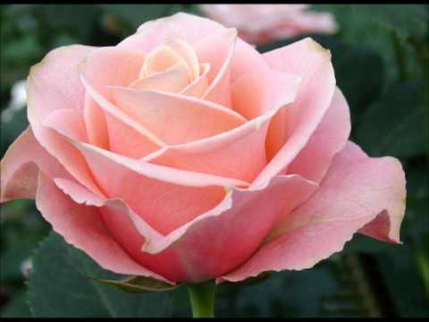 Radmila Jagodić & Nadežda Cmiljić - Sinoć mi se rasrdio dragi