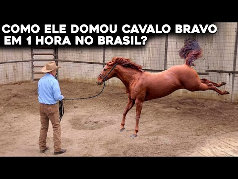 O MELHOR DOMADOR DE CAVALOS DO MUNDO VEIO AO BRASIL E FEZ ISSO