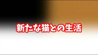 不思議の国のフミちゃん