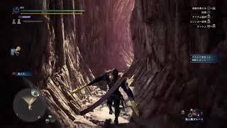MHWI おやすみ前の一狩り